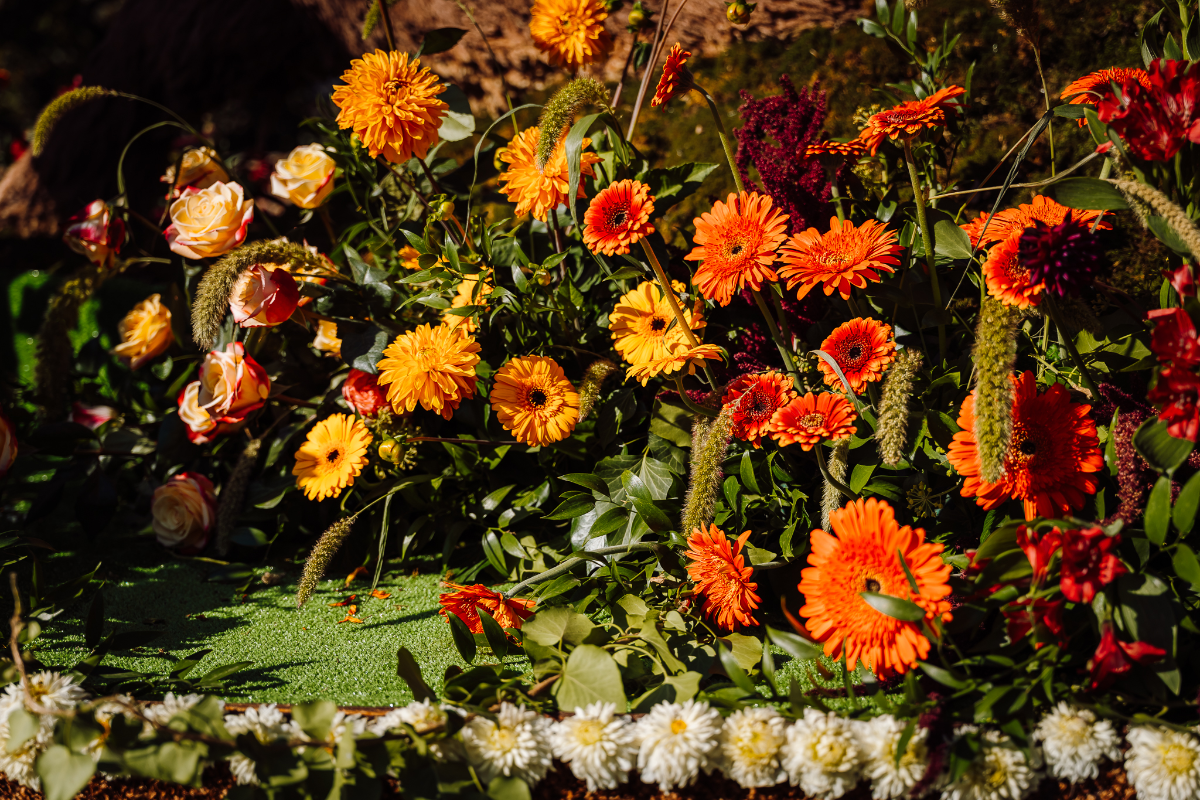 09.20 Virágvarázs - szombat - 3 széria-02253